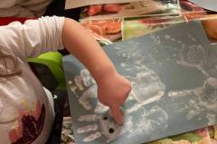 430bb8e5-0789-4fe2-a515-bf1423561b42